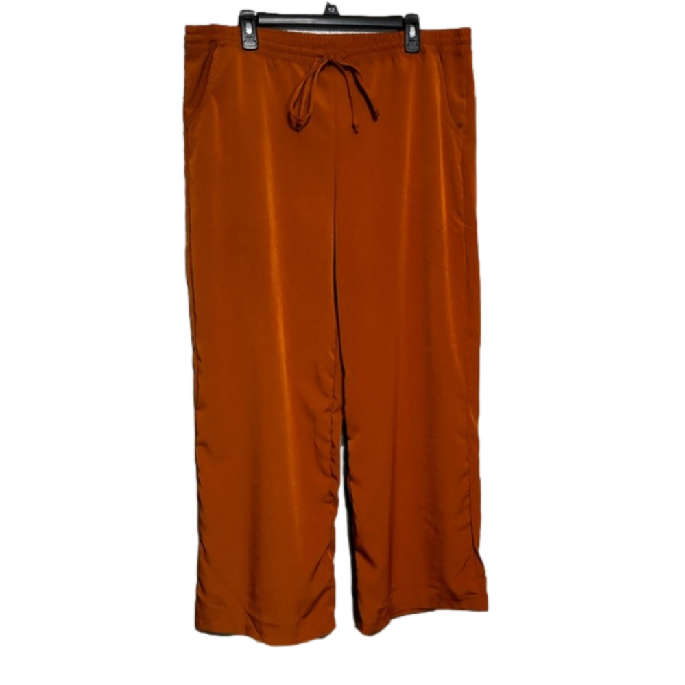 Orange French laundry pants - Picture 1 of 6